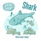 Interesting facts about sharks. Did you know