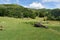 Interesting field by Loughrigg Tarn, Lake District