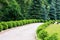 Interesting garden with cobblestone on the ground