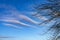 Interesting horse or mares tail cloud formations