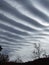 Interesting linear cloud pattern ripples