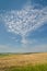 Interesting looking clouds in the form of a pigeon in the blue sky on a wheat field in the summer