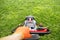 The interesting point of view from a man pushing a lawn mower. Lawn mower mowing green grass