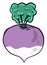 Interesting purple turnip ,illustration,vector