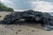 Interesting rock at the beach along the Kohala coast on the Big Island of Hawaii