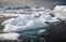 Interesting shapes of icebergs reflected in the waters of Paradise Habour, Antarctica