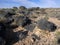 Interesting stones in central Namibia.