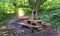 An interesting table under a tree made of logs and boards and a bench suspended to a branch of the same tree. A