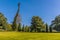 An interesting tree shape in the Botanical gardens at Peradeniya, Kandy, Sri Lanka, Asia