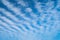 Interesting wavy lines of clouds probably cirrocumulus on a summer day