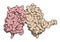 Interferon beta protein. Cytokine used to treat multiple sclerosis MS. 3D rendering. Atoms shown as spheres, colored per chain.