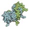 Interferon gamma (IFNg) cytokine molecule, chemical structure. R