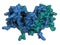 Interferon gamma (IFNg) cytokine molecule, chemical structure. Recombinant form used in treatment of osteopetrosis and chronic