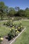 Interior of beautiful Tyler rose garden