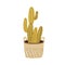 Interior cactus in pot. Cacti growing in wicker basket. Trendy houseplant in planter. Modern house plant for