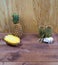 Interior composition of a home on wood table or floor and wall. Handmade white elephant aroma candle. Tropical fruit fresh pineapp