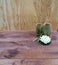 Interior composition of a home on wood table or floor and wall. Handmade white lotus aroma candle. Decorative bamboo glasses from