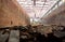 Interior corridor of abandoned brick factory,