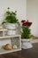 Interior decoration with blossom potted flowers