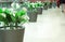 Interior decoration of elegant flower compositions in the hallway of shopping mall