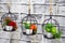 Interior decoration and garden decor. Three pots with colorful l