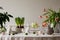 Interior design of easter dining room with colorful easter eggs, white hare sculptures, vase with tulips, plants, lamp, beige wall