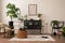 Interior design of living room interior with mock up poster frame, black sideboard, round coffee table, plants in flowerpots.