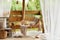 Interior design of summer gazebo by the lake with stylish rattan armchair, coffee table, sofa, pillows, plaid. Elegant.