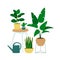 Interior design with table, watering can and houseplants. Trendy composition with home decorations