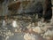 Interior detail of stalactites and stalagmites of the Toirano caves