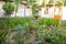 Interior garden from Colonial house