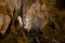 Interior of the Gosu limestone cave in Danyang, Korea.