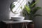 interior green sink stylish white home tropical bathroom clean design leaf. Generative AI.