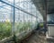 The interior of the greenhouse