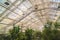 Interior of a greenhouse with lush green plants under the roof with glass panels