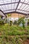 Interior of greenhouse with a variety of plants and flowers