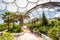 Interior of Mediterranean biome, Eden Project.