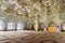 Interior of mirrored mausoleum of Sayyed Alaeddin Hossein in Shiraz. Iran