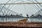 Interior of modern hothouse with an advanced system of irrigation and plant care in off-season. Polytunnel and growing