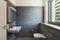 Interior of a modern house, gray bathroom