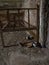 Interior of old prison cell with rusted bed and old rusted kitchenware