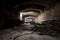 Interior of an old wine cellar, barrels