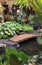 Interior patio garden with lake, fish and lush vegetation in Yogyakarta, Java, Indonesia