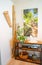 Interior room corner with shelving unit with ornaments, potted plants and a picture of palm tree on wall