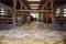 Interior of stable in horse breeding in Florianka, Zwierzyniec, Roztocze, Poland. Clean hay lying down on the floor. Drinker and