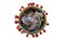 Interior structure of Coronavirus Covid-19. Covid corona virus cell