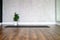 the interior of the studio room for yoga and stretching, a rubber mat and a plant zamioculcas on the wooden floor against the back