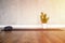 The interior of the studio room for yoga and stretching, a rubber mat and a plant zamioculcas on the wooden floor against the back