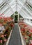 Interior Of A Traditional Greenhouse