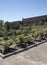 Interior of Tyler rose garden